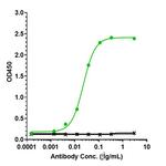 IL-6 (Olokizumab Biosimilar) Antibody in ELISA (ELISA)