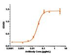 CD127 Biosimilar Recombinant Human Monoclonal Antibody