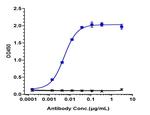 SLC39A6 (Ladiratuzumab Biosimilar) Antibody in ELISA (ELISA)