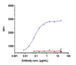 Ladiratuzumab Humanized Recombinant Human Monoclonal Antibody