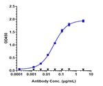 IL-17A (Orilanolimab Biosimilar) Antibody in ELISA (ELISA)