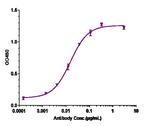 GM-CSF (Otilimab Biosimilar) Antibody in ELISA (ELISA)