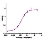Otilimab Recombinant Human Monoclonal Antibody
