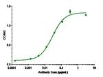 GM-CSF (Plonmarlimab Biosimilar) Antibody in ELISA (ELISA)