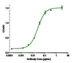 Plonmarlimab Humanized Recombinant Human Monoclonal Antibody