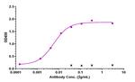 GDF15 (Ponsegromab Biosimilar) Recombinant Humanized mouse Monoclonal Antibody
