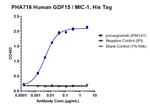 GDF15 (Ponsegromab Biosimilar) Antibody in ELISA (ELISA)