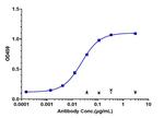 PD-1 (CD279) (Prolgolimab Biosimilar) Recombinant Human Monoclonal Antibody