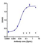PD-1 (CD279) (Serplulimab Biosimilar) Recombinant Human Monoclonal Antibody