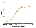 Prolactin Receptor (Biosimilar) Recombinant Human Monoclonal Antibody