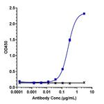 SLC34A2 (Upifitamab Biosimilar) Recombinant Humanized mouse Monoclonal Antibody
