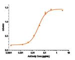 GM-CSF Biosimilar Antibody in ELISA (ELISA)