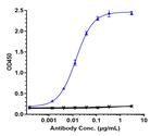 PD-1 (CD279) (Toripalimab Biosimilar) Recombinant Humanized mouse Monoclonal Antibody
