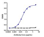 TIGIT (Vibostolimab Biosimilar) Recombinant Human Monoclonal Antibody