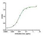 Tau (Zagotenemab Biosimilar) Antibody in ELISA (ELISA)