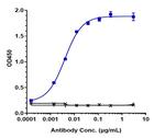 VEGFC Biosimilar Antibody in ELISA (ELISA)