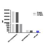 ADORA2A (Biosimilar) Antibody in Flow Cytometry (Flow)