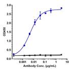 BTN1A1 Biosimilar Antibody in ELISA (ELISA)