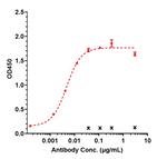 CDH17 (Biosimilar) Antibody in ELISA (ELISA)