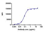 CDH17 Biosimilar Recombinant Human Monoclonal Antibody