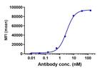 Claudin 6 Biosimilar Recombinant Human Monoclonal Antibody