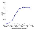 CD33 (Gemtuzumab Biosimilar) Recombinant Humanized mouse Monoclonal Antibody