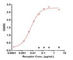 TREM2 (Biosimilar) Antibody in ELISA (ELISA)