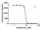 Faricimab Humanized Antibody in Functional Assay (Functional)