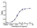 Vanucizumab Recombinant Human Monoclonal Antibody