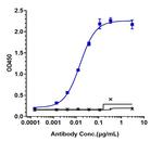 Remtolumab Recombinant Human Monoclonal Antibody