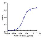IL-1 alpha/beta (Lutikizumab Biosimilar) Recombinant Human Monoclonal Antibody