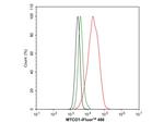 MTCO1 Antibody in Flow Cytometry (Flow)