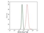 MTCO1 Antibody in Flow Cytometry (Flow)