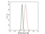 MTCO1 Antibody in Flow Cytometry (Flow)