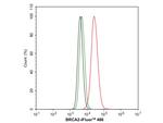 BRCA2 Antibody in Flow Cytometry (Flow)