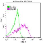 CD146 Antibody in Flow Cytometry (Flow)