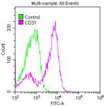 CD31 Antibody in Flow Cytometry (Flow)