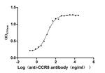 CCR8 Antibody in ELISA (ELISA)