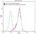 CCR8 Recombinant Human Monoclonal Antibody (6B12)