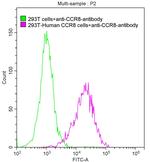 CCR8 Recombinant Human Monoclonal Antibody (10A9)