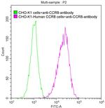 CCR8 Antibody in Flow Cytometry (Flow)