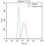 Gelsolin Antibody in Flow Cytometry (Flow)