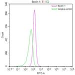 Beclin 1 Antibody in Flow Cytometry (Flow)