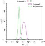Caspase 9 Antibody in Flow Cytometry (Flow)