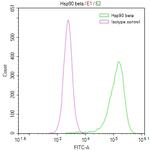 HSP90 beta Antibody in Flow Cytometry (Flow)