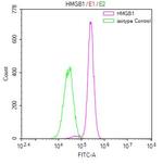 HMGB1 Antibody in Flow Cytometry (Flow)