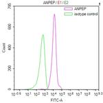 CD13 Recombinant Mouse Monoclonal Antibody (9C4)