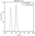 CD31 Antibody in Flow Cytometry (Flow)