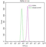 Podoplanin Antibody in Flow Cytometry (Flow)