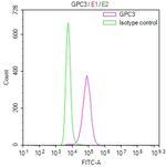 Glypican 3 Recombinant Mouse Monoclonal Antibody (8D11)